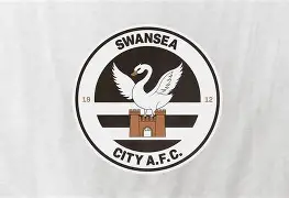 斯旺西城全队发力，团结作战